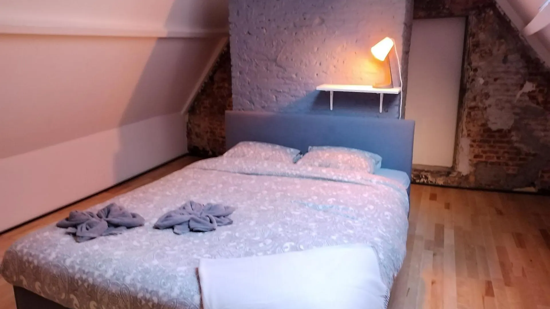 Villa Mercurius Grote Markt Anvers Tatil Evi